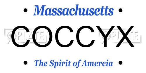 COCCYX Massachusetts License Plate