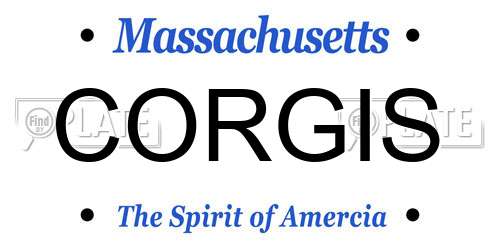 CORGIS Massachusetts License Plate