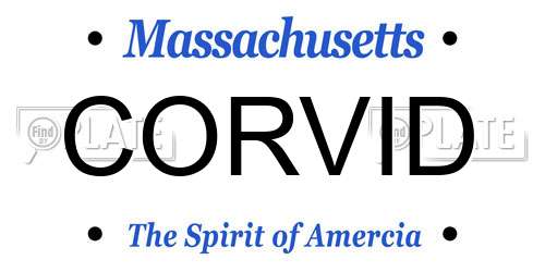CORVID Massachusetts License Plate