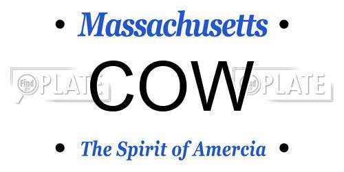COW Massachusetts License Plate