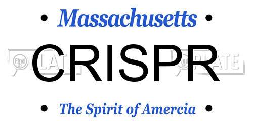 CRISPR Massachusetts License Plate