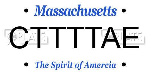 CTTTTAE Massachusetts License Plate