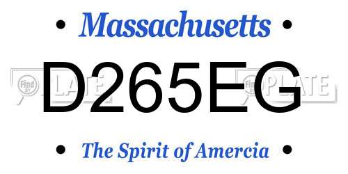 D265EG Massachusetts License Plate