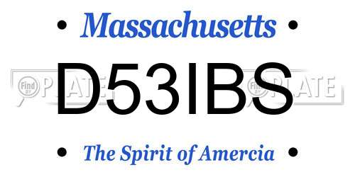 D53IBS Massachusetts License Plate