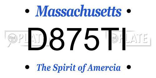 D875TI Massachusetts License Plate