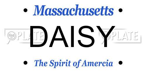 DAISY Massachusetts License Plate