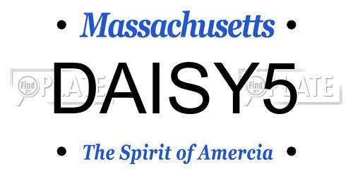 DAISY5 Massachusetts License Plate