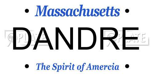 DANDRE Massachusetts License Plate
