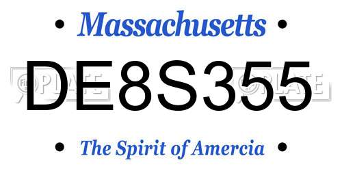 DE8S355 Massachusetts License Plate
