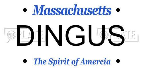 DINGUS Massachusetts License Plate