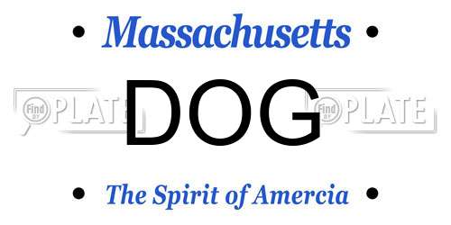 DOG Massachusetts License Plate