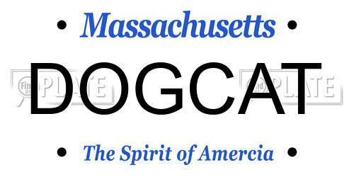 DOGCAT Massachusetts License Plate