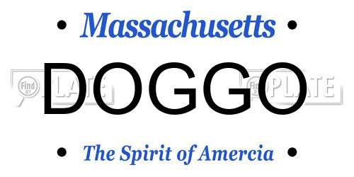 DOGGO Massachusetts License Plate