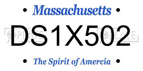 DS1X502 Massachusetts License Plate