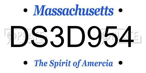 DS3D954 Massachusetts License Plate