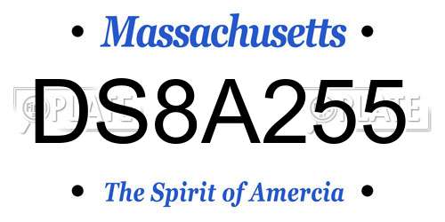 DS8A255 Massachusetts License Plate