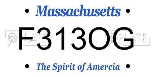 F313OG Massachusetts License Plate