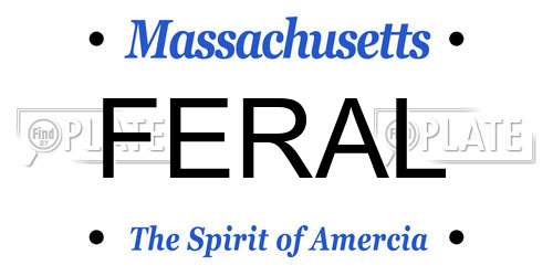 FERAL Massachusetts License Plate