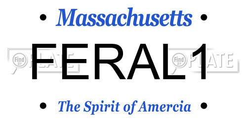 FERAL1 Massachusetts License Plate