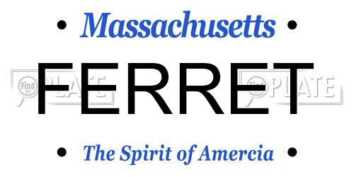 FERRET Massachusetts License Plate