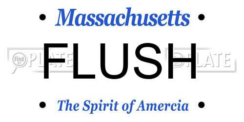 FLUSH Massachusetts License Plate