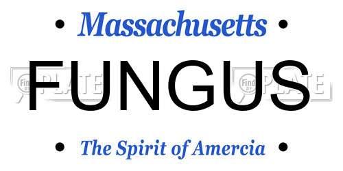 FUNGUS Massachusetts License Plate