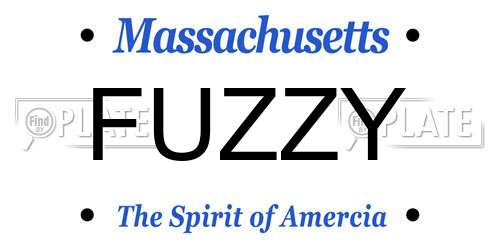 FUZZY Massachusetts License Plate