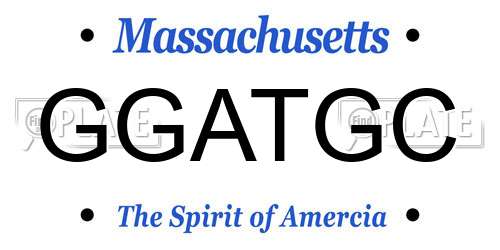 GGATGC Massachusetts License Plate