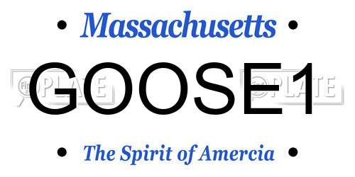 GOOSE1 Massachusetts License Plate