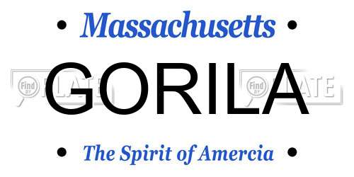 GORILA Massachusetts License Plate