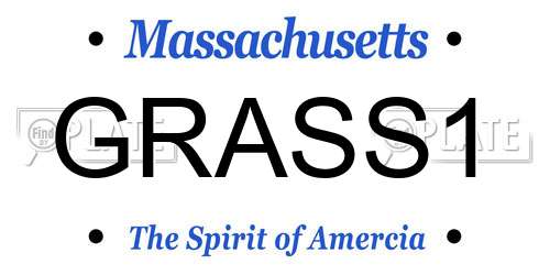 GRASS1 Massachusetts License Plate