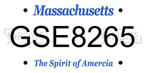 GSE8265 Massachusetts License Plate