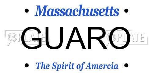 GUARO Massachusetts License Plate