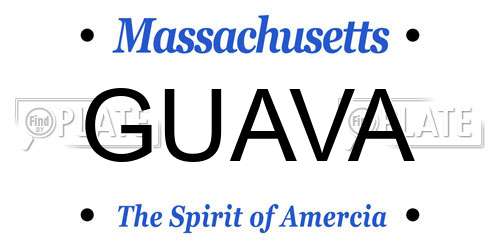 GUAVA Massachusetts License Plate
