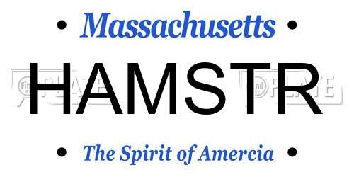 HAMSTR Massachusetts License Plate
