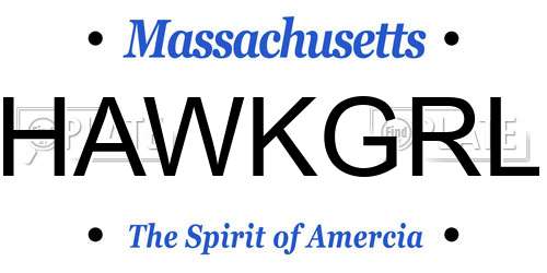 HAWKGRL Massachusetts License Plate