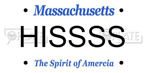 HISSSS Massachusetts License Plate
