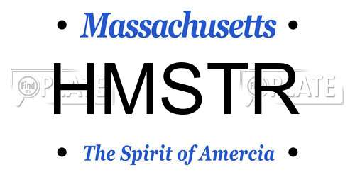 HMSTR Massachusetts License Plate