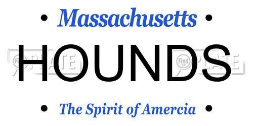 HOUNDS Massachusetts License Plate