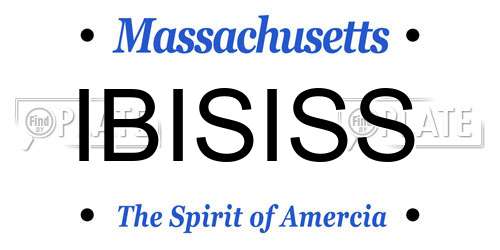 IBISISS Massachusetts License Plate