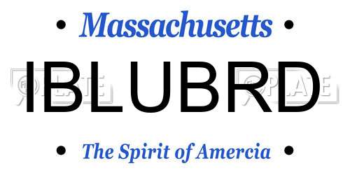 IBLUBRD Massachusetts License Plate