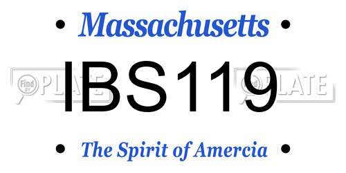 IBS119 Massachusetts License Plate