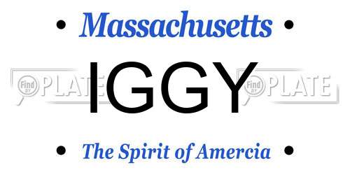 IGGY Massachusetts License Plate