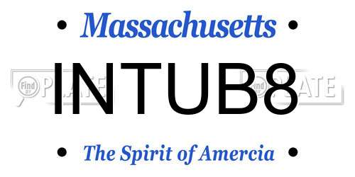 INTUB8 Massachusetts License Plate