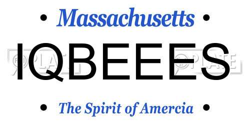IQBEEES Massachusetts License Plate
