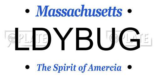 LDYBUG Massachusetts License Plate