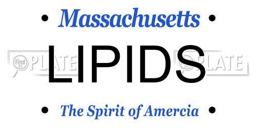 LIPIDS Massachusetts License Plate