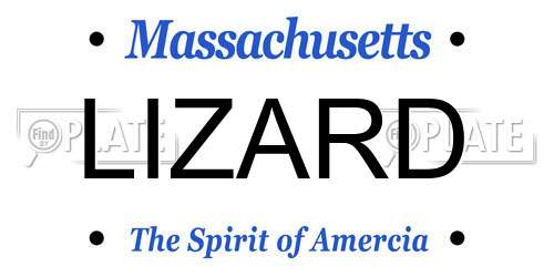 LIZARD Massachusetts License Plate