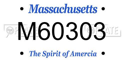 M60303 Massachusetts License Plate