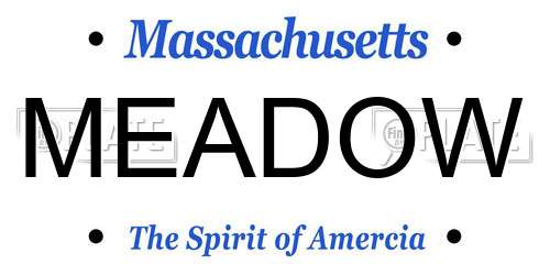 MEADOW Massachusetts License Plate